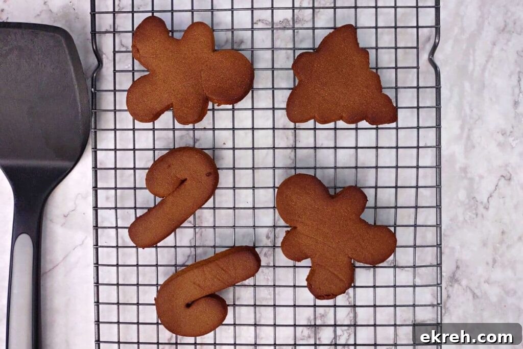 let gingerbread cookies cool on a wire rack