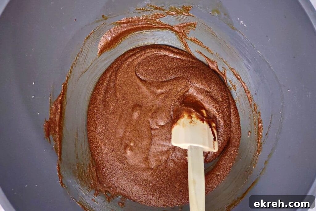 add molasses, egg, and vanilla then mix