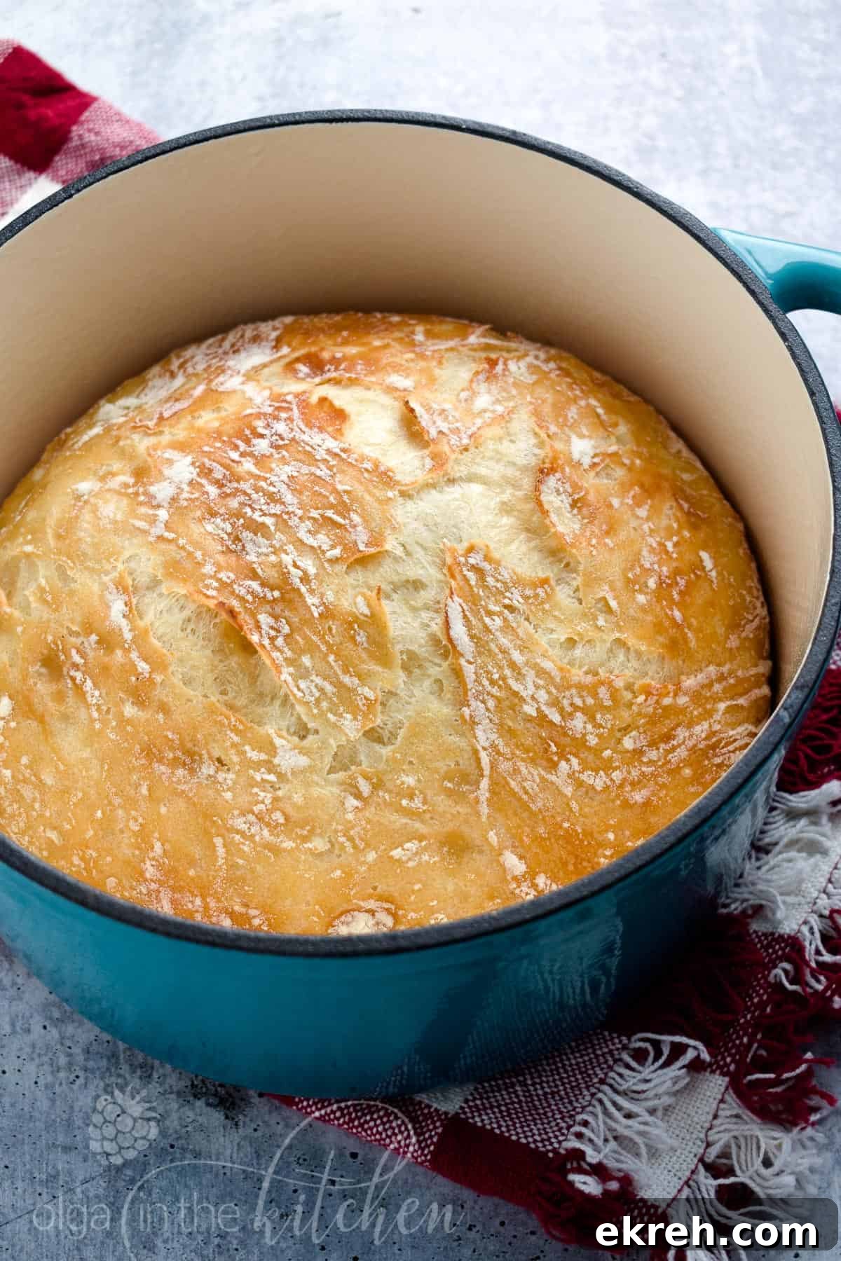No-Knead Bread loaf with crisp crust and soft center