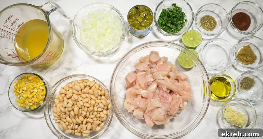 overhead shot of the ingredients for the instant pot white chicken chili (dairy-free)