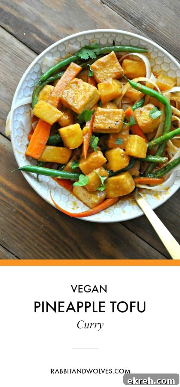 Vegan Pineapple Tofu Curry with Coconut Milk 8 Close-up of curry