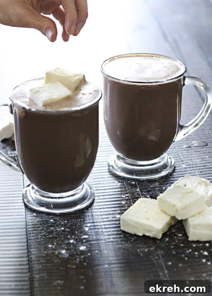 27 Wholesome Christmas Desserts 15 High Protein Sugar-Free Hot Chocolate