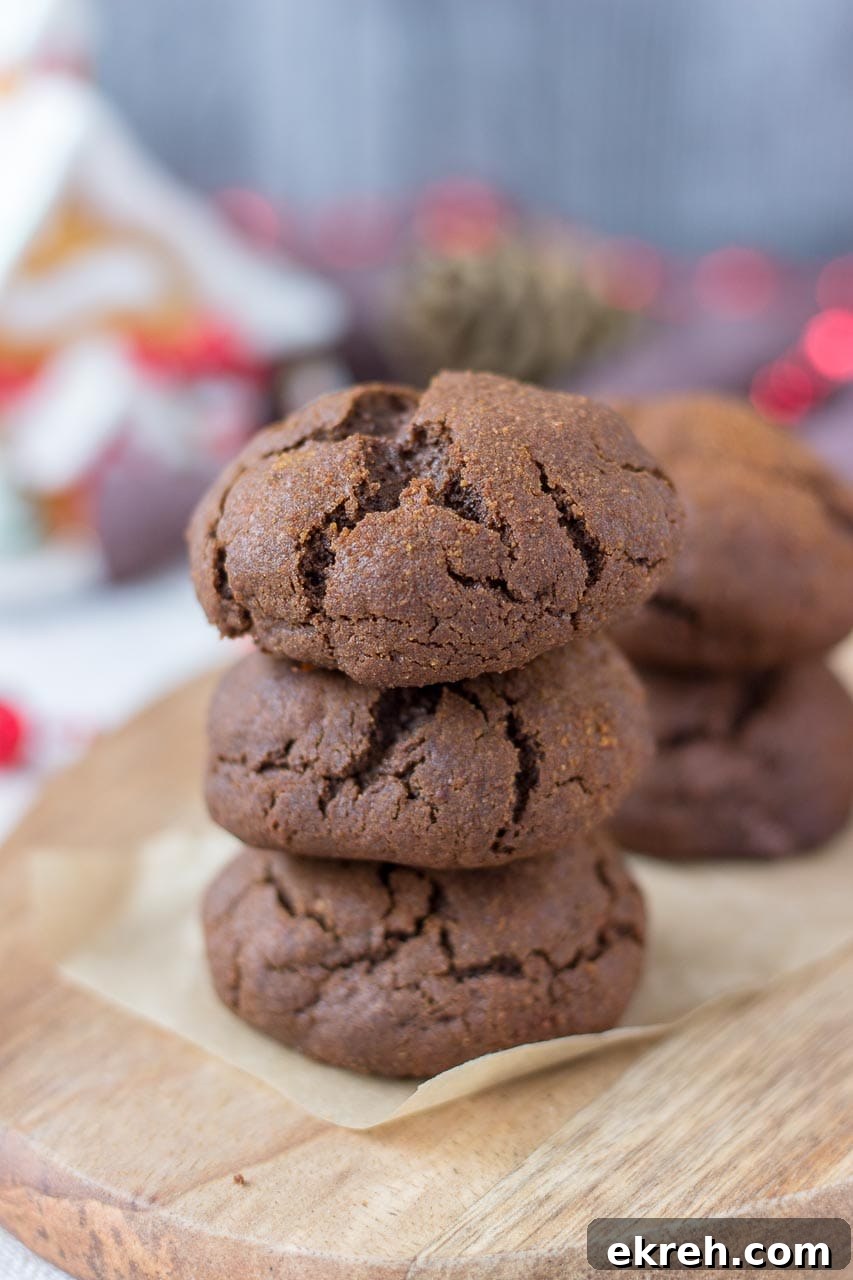 27 Wholesome Christmas Desserts 16 Chocolate Gingerbread Cookies