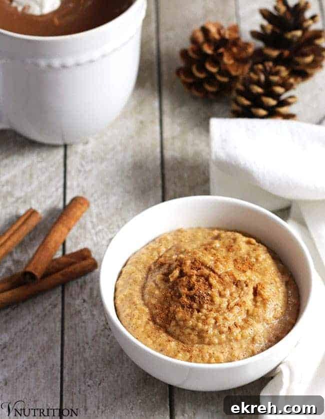 27 Wholesome Christmas Desserts 27 Snickerdoodle Dip