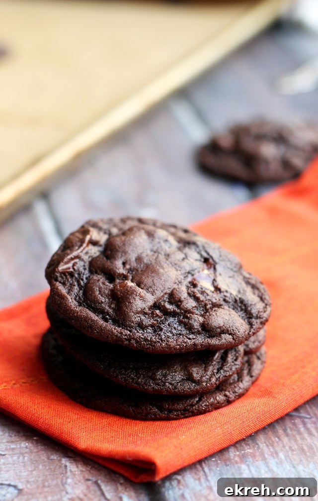 blue bottle double chocolate cookies