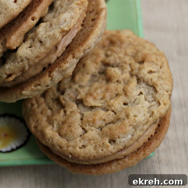 peanut butter sandwich cookies