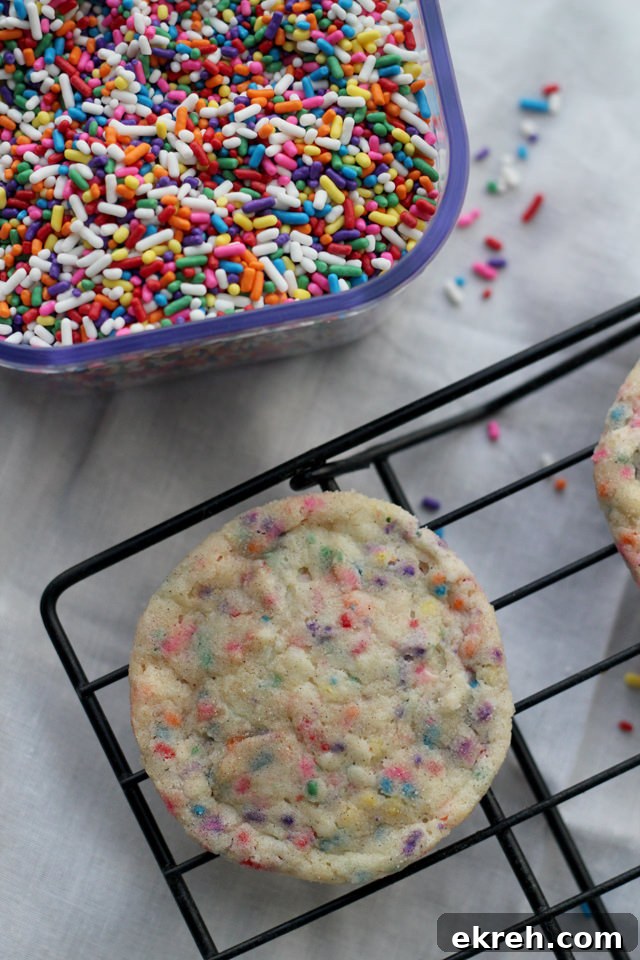 soft and chewy snickerdoodle sprinkle cookies
