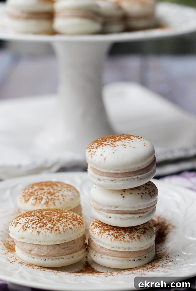 snickerdoodle macarons