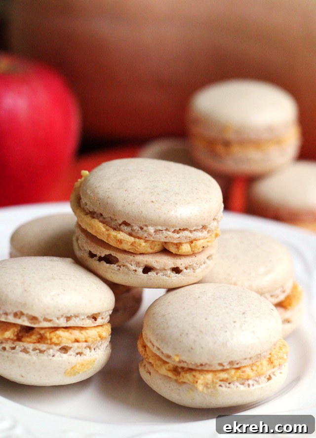 ginger macarons with pumpkin bourbon buttercream