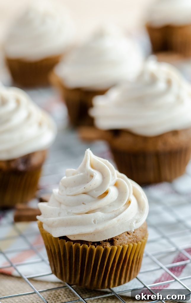Cupcakes with delicious gingerbread spices. Topping this gingerbread classic flavor is a spiced buttercream frosting. Gingerbread cupcakes in brown wrappers piped with spiced buttercream on a metal cooling rack.
