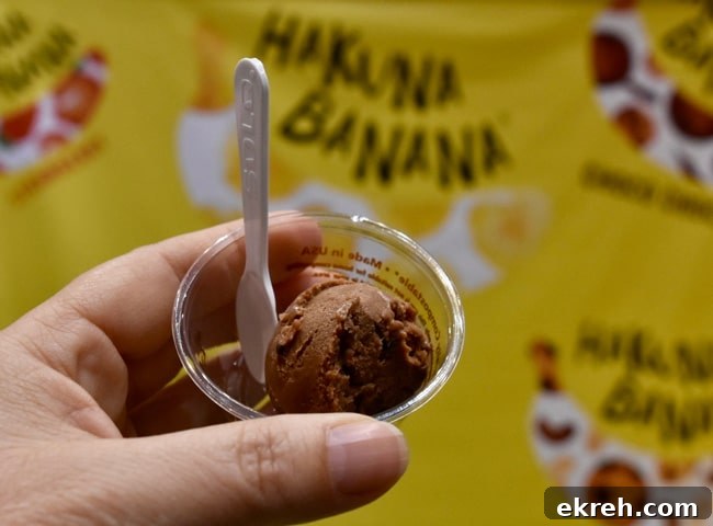 Winter Fancy Food Show 2018 Hakuna Banana Ice Cream