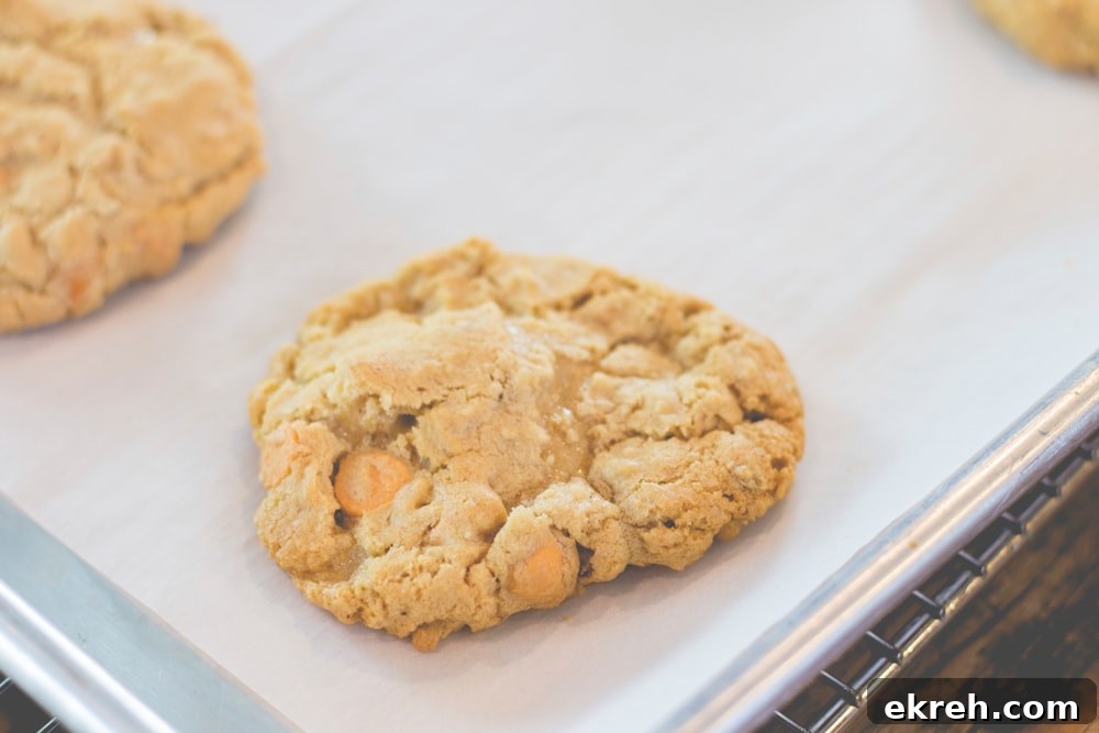 Chewy Brown Butter Oatmeal Cookies Recipe 3 A baked cookie sits on a parchment-lined pan.